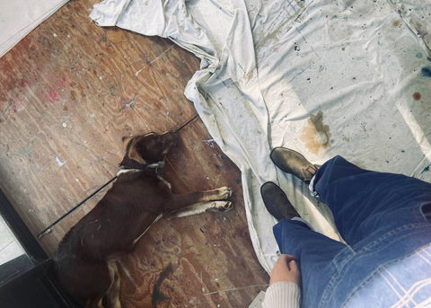 Jordana Henry wearing overalls and Blundstone boots and her dog lieing on the ground