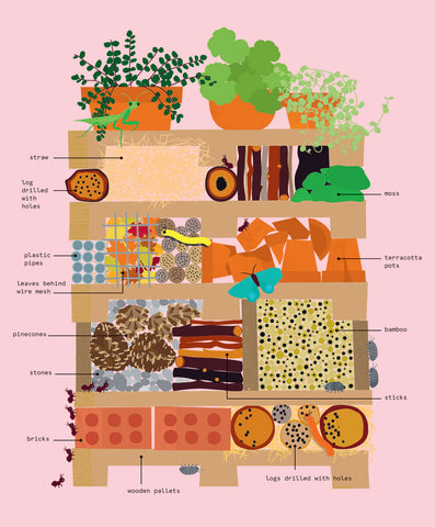 illustration of how to make your own bug or insect hotel for lunch lady magazine