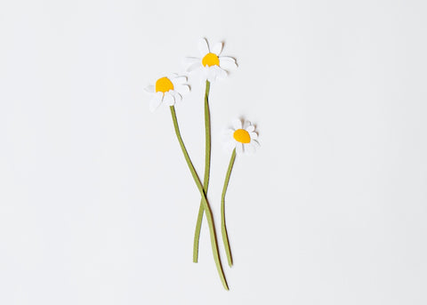 a paper cut illustration of camomile flowers for Lunch Lady Magazine