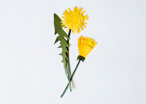 a paper cut illustration of dandelion for lunch lady magazine herbal tea guide