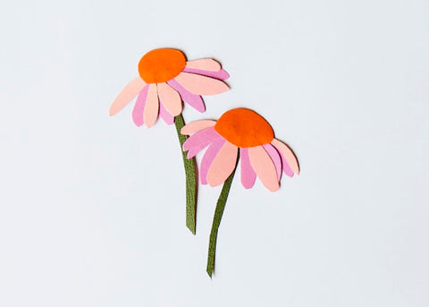 a paper cut illustration of the echinacea flower for lunch lady magazine