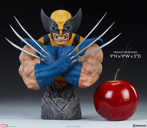 Sideshow Collectibles - Marvel - Wolverine Bust