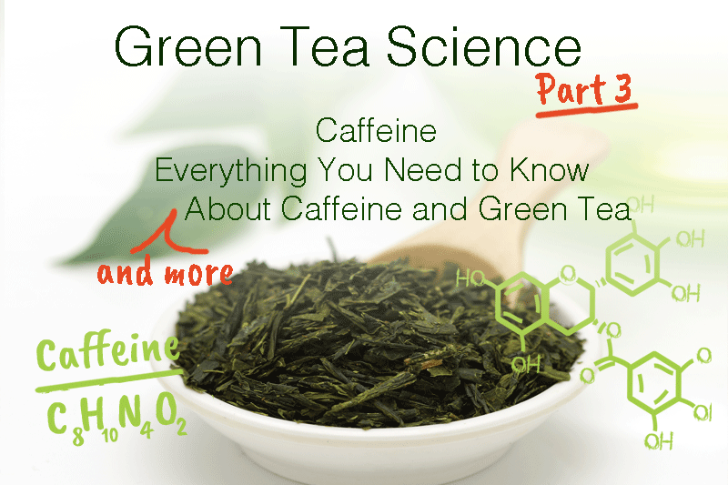 GREEN TEA SCIENCE PART 3: CAFFEINE - EVERYTHING YOU NEED TO KNOW (AND MORE) ABOUT CAFFEINE AND GREEN TEA