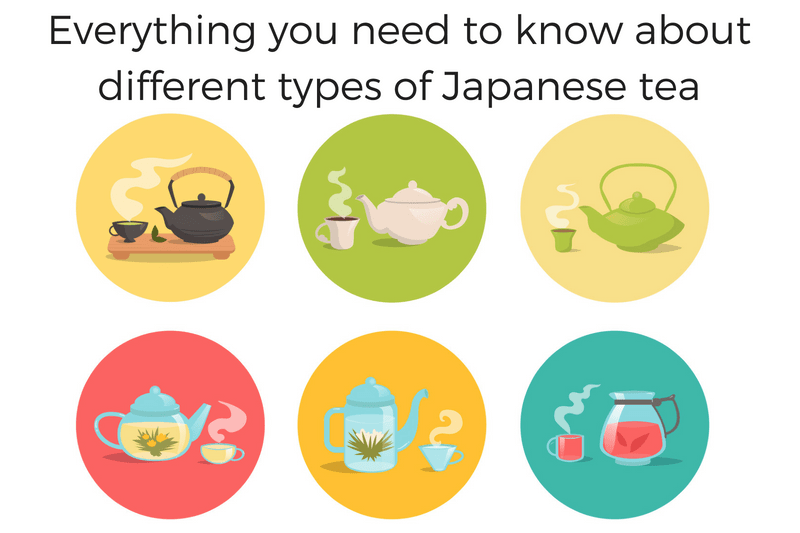 EVERYTHING YOU NEED TO KNOW ABOUT DIFFERENT TYPES OF JAPANESE TEA