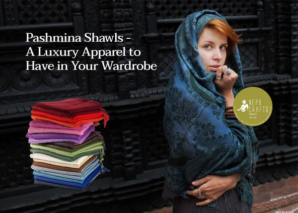 Pashmina Shawls