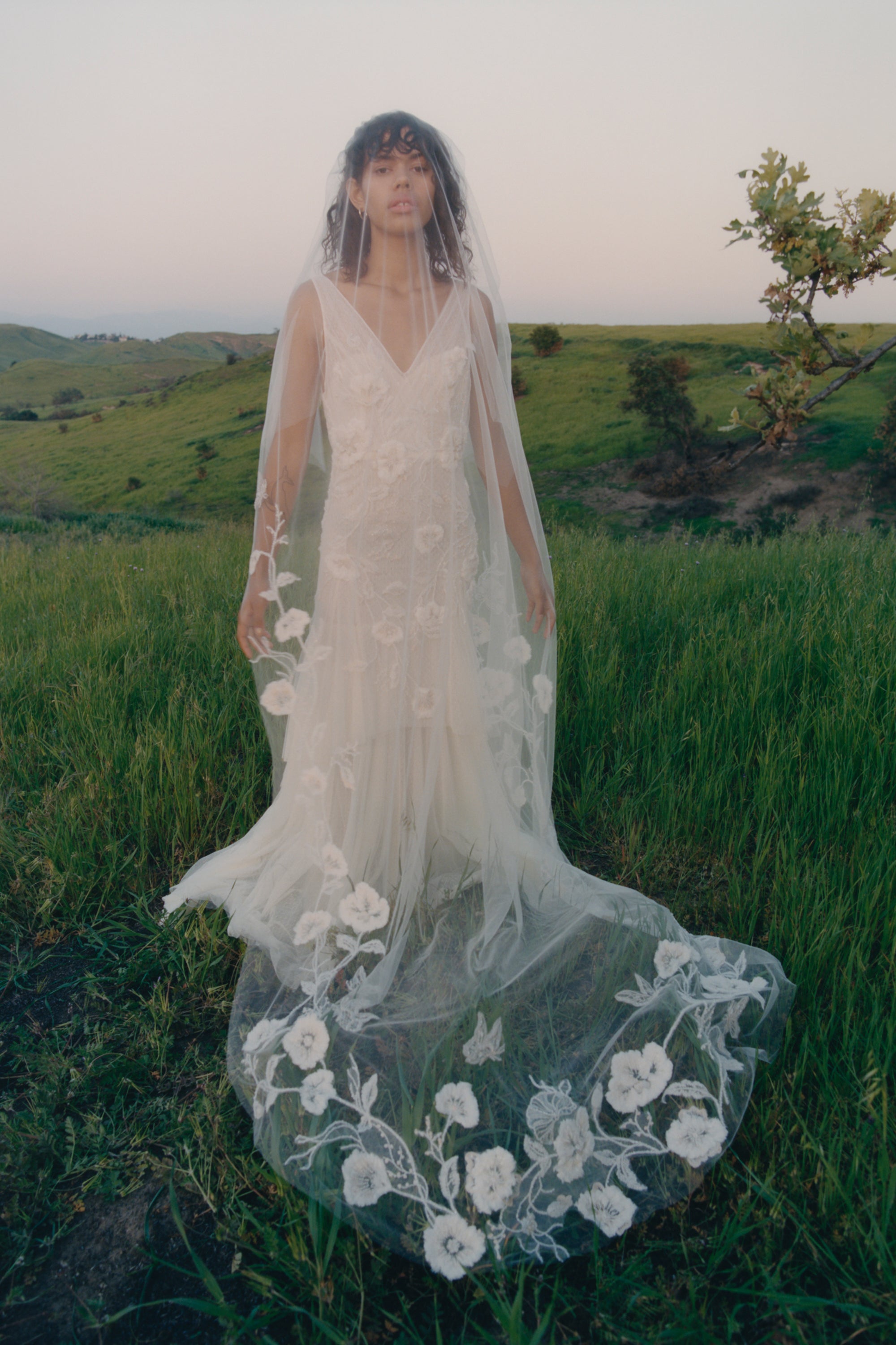 lace lined veil