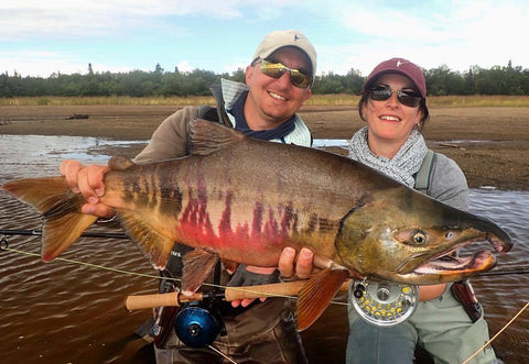 Katmai Chum Salmon 2