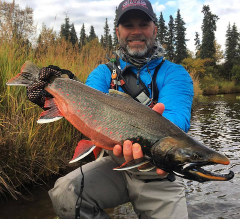 Katmai Arctic Char 