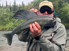 Nice early season Grayling