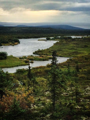 Alagnak Salmon Fishing River in Alaska