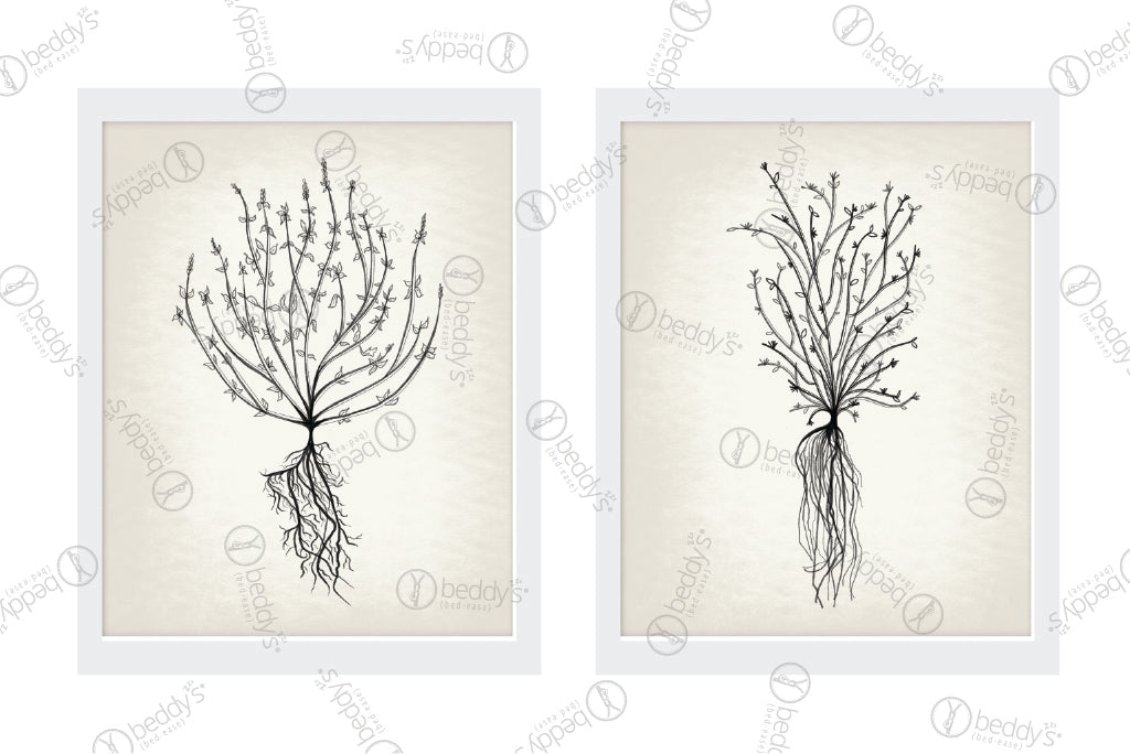 Roots Artwork Download