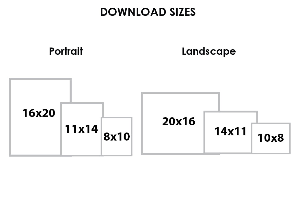 Roots Artwork Download