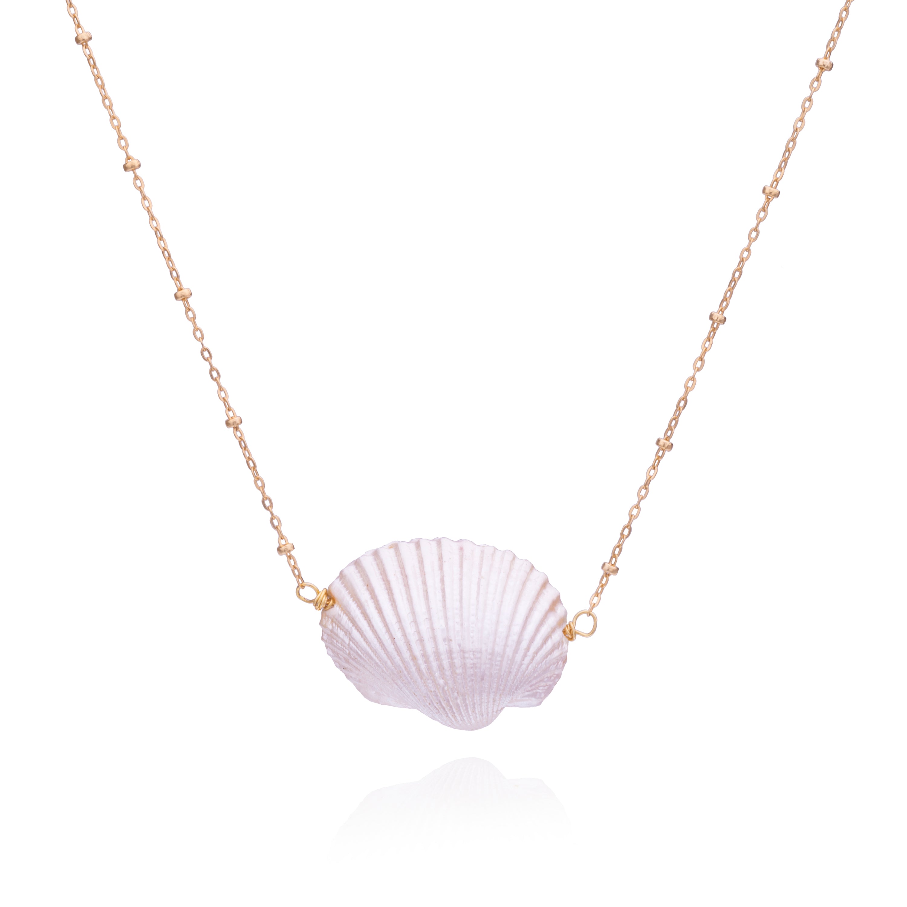 Venus Shell Necklace