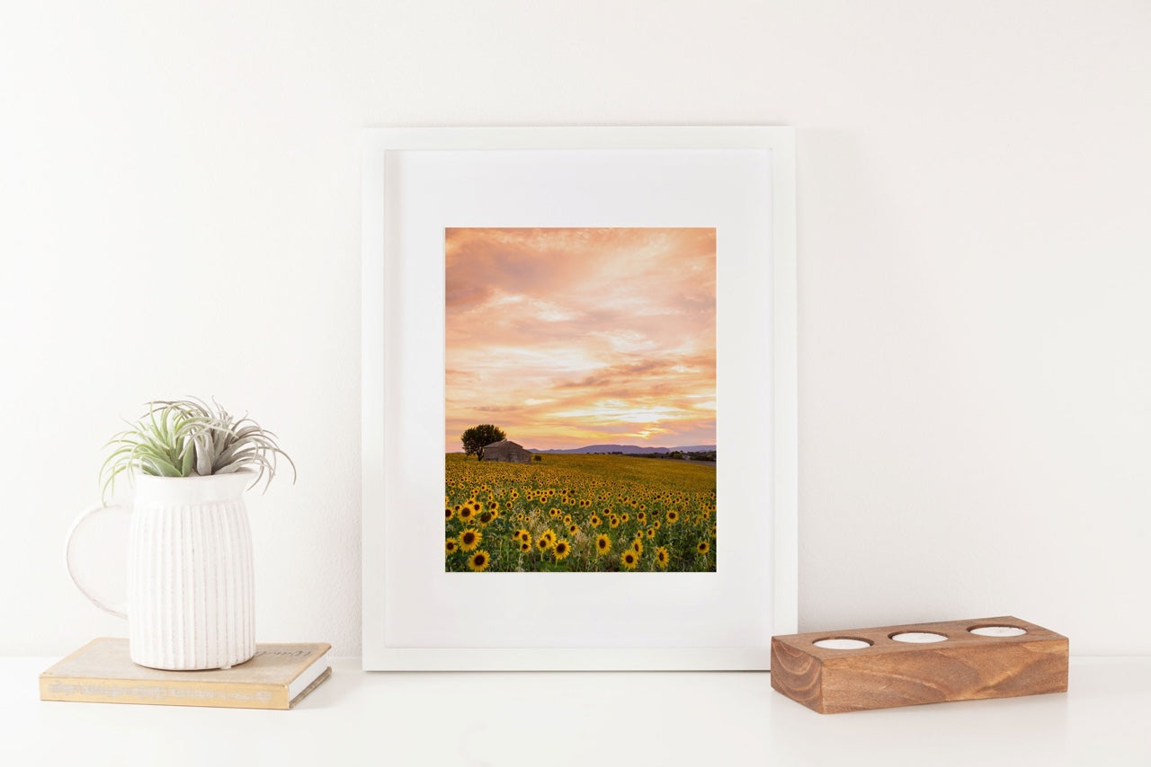 Framed Floral Wall Art