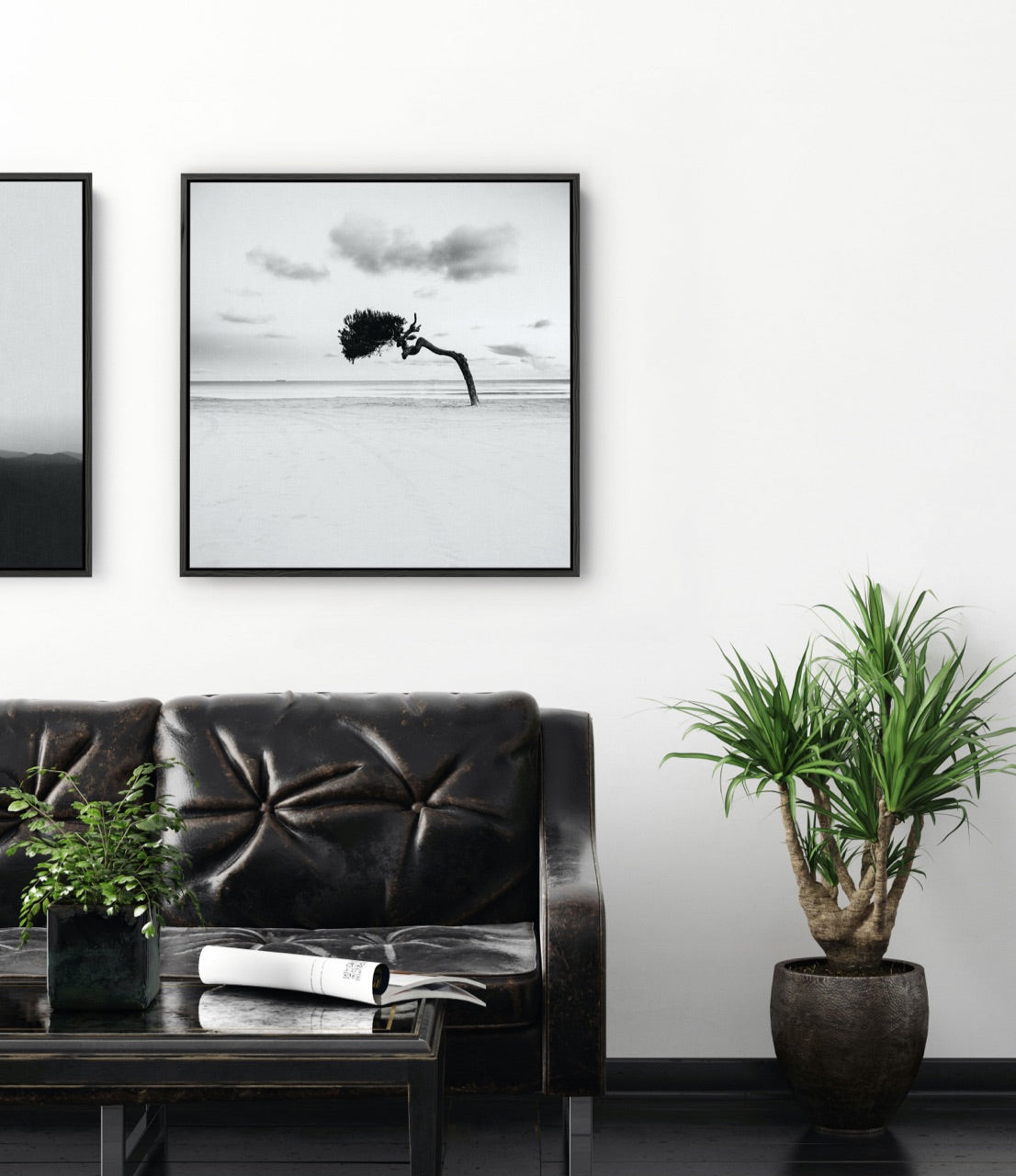 Black and white framed tree photograph above couch