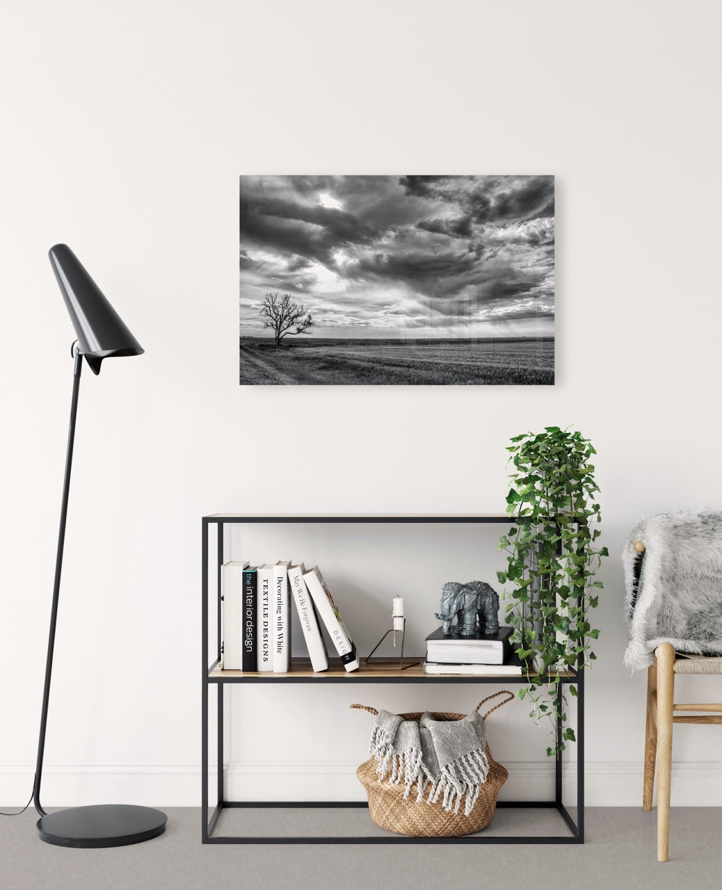 Black and White Nature Wall Art Prints | MK Envision Galleries