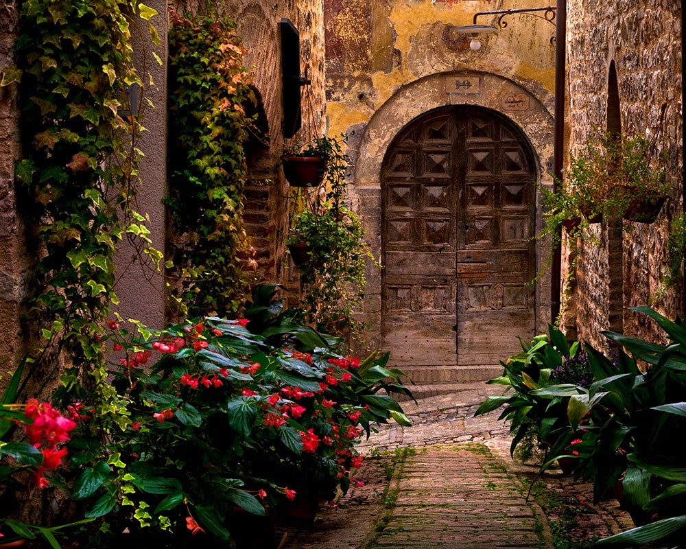 Vine covered courtyard in Italy