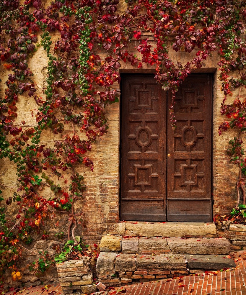 Vine covered doorway