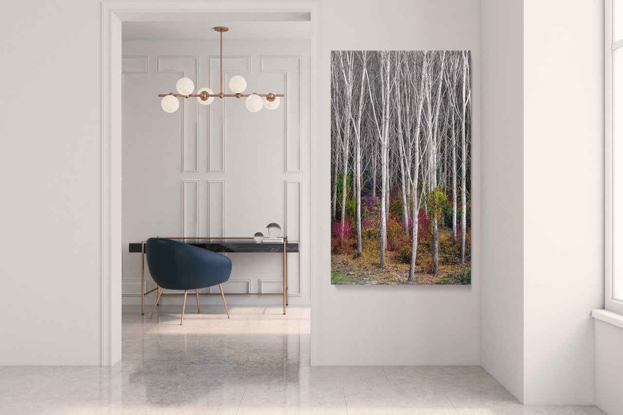 Forest wall art in a modern home
