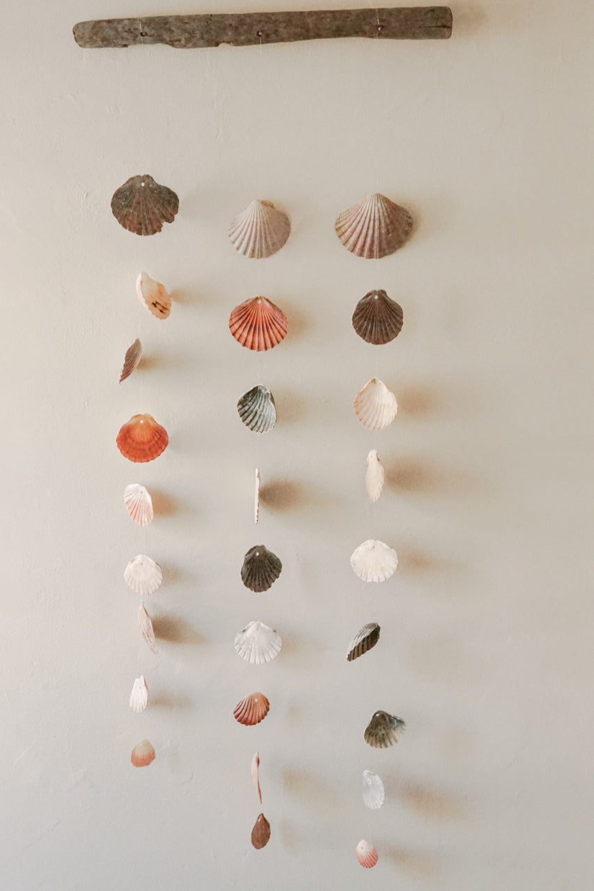 shell wall art