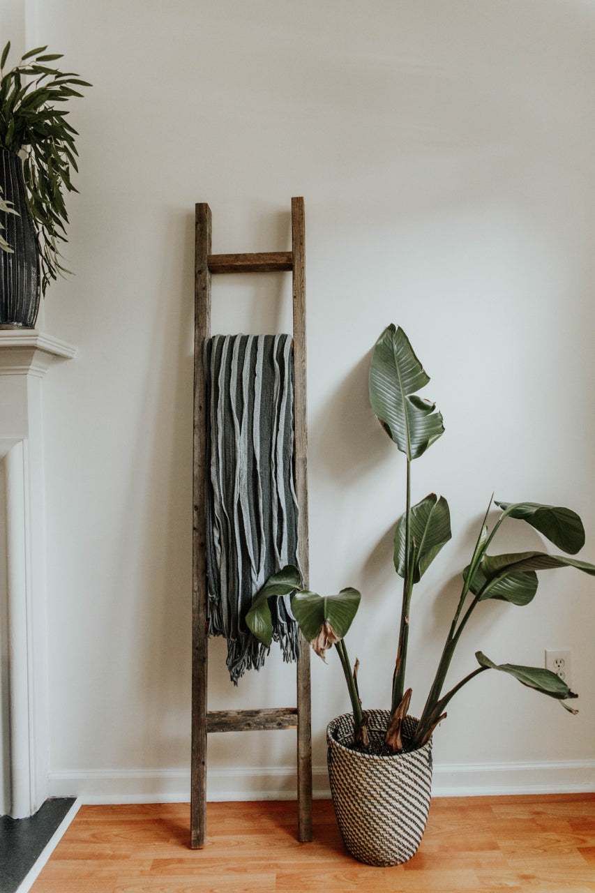 blanket ladder with plant