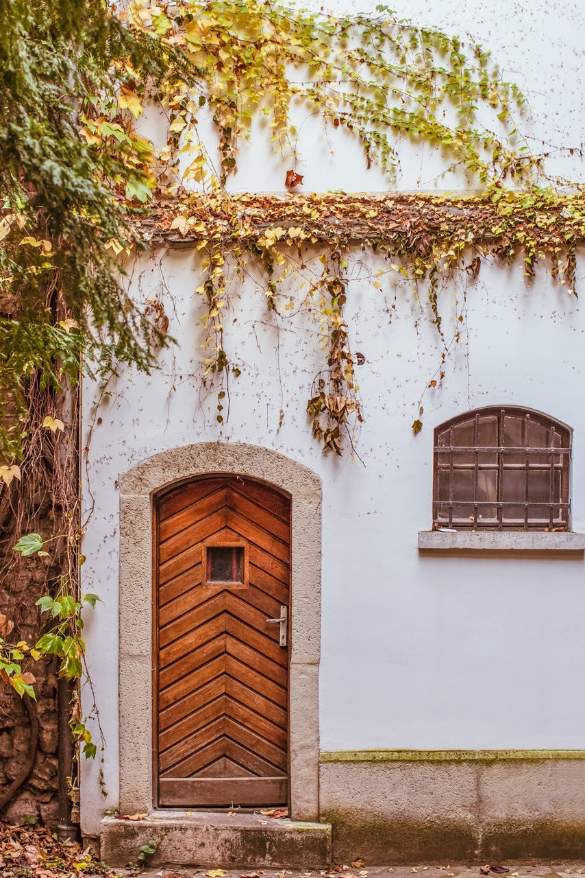 Wooden door with vines