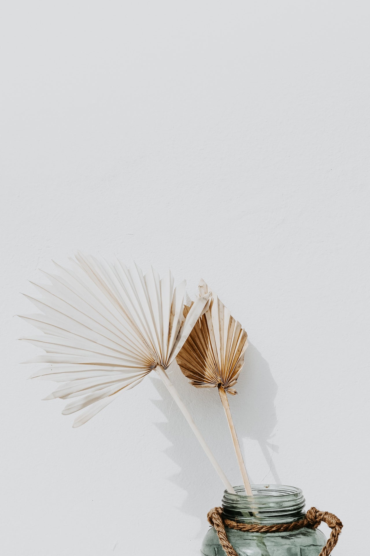 dried palm frond decor