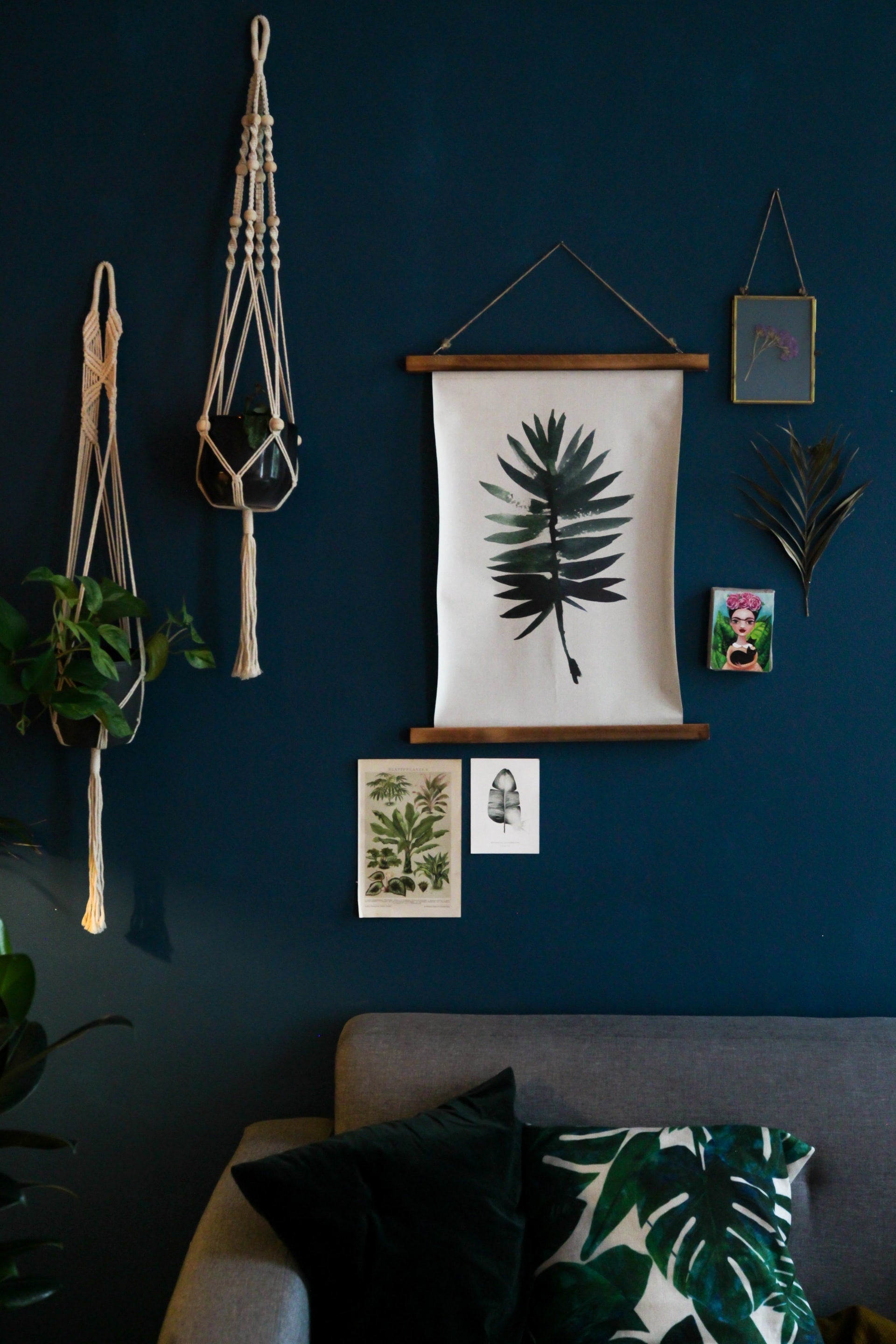 boho wall decor hanging plants