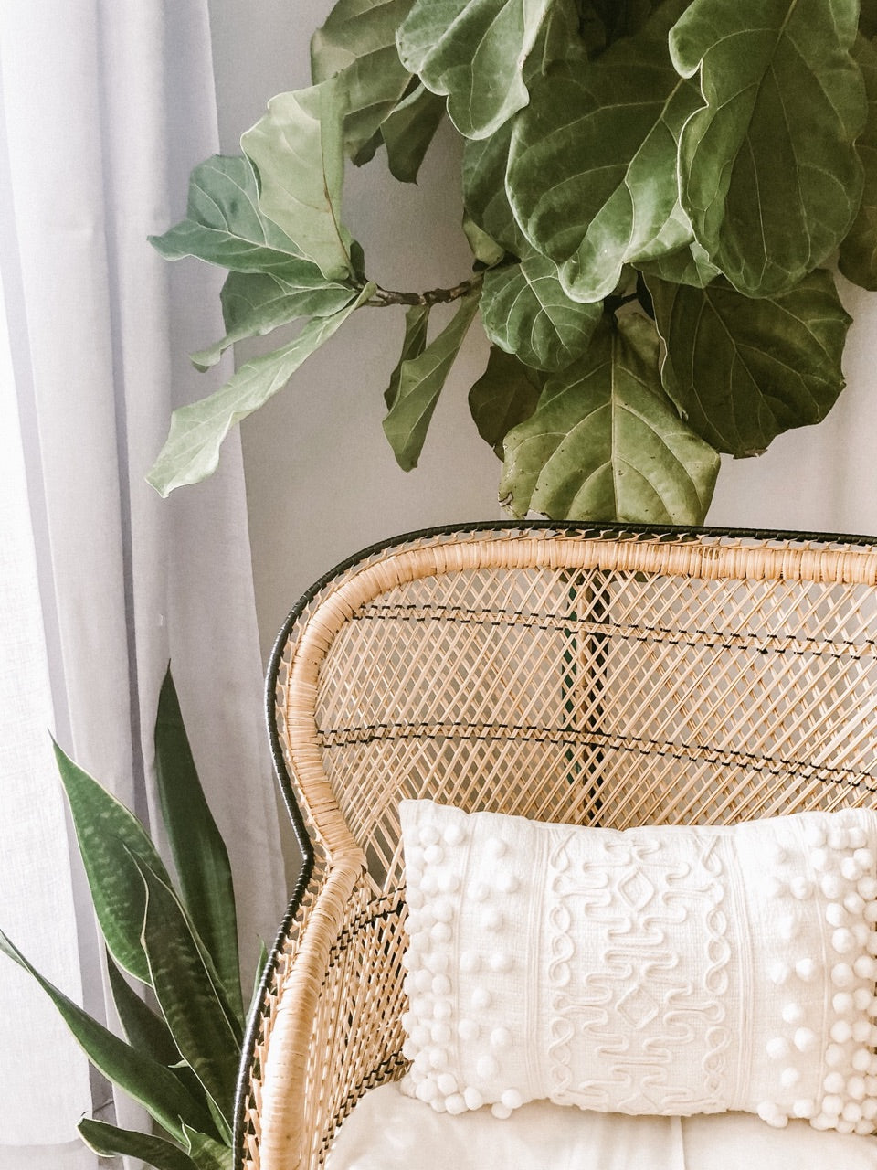 rattan chair and indoor plant