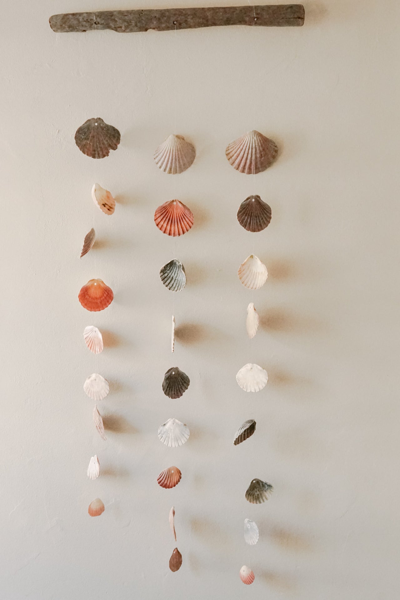 shell hanging wall art