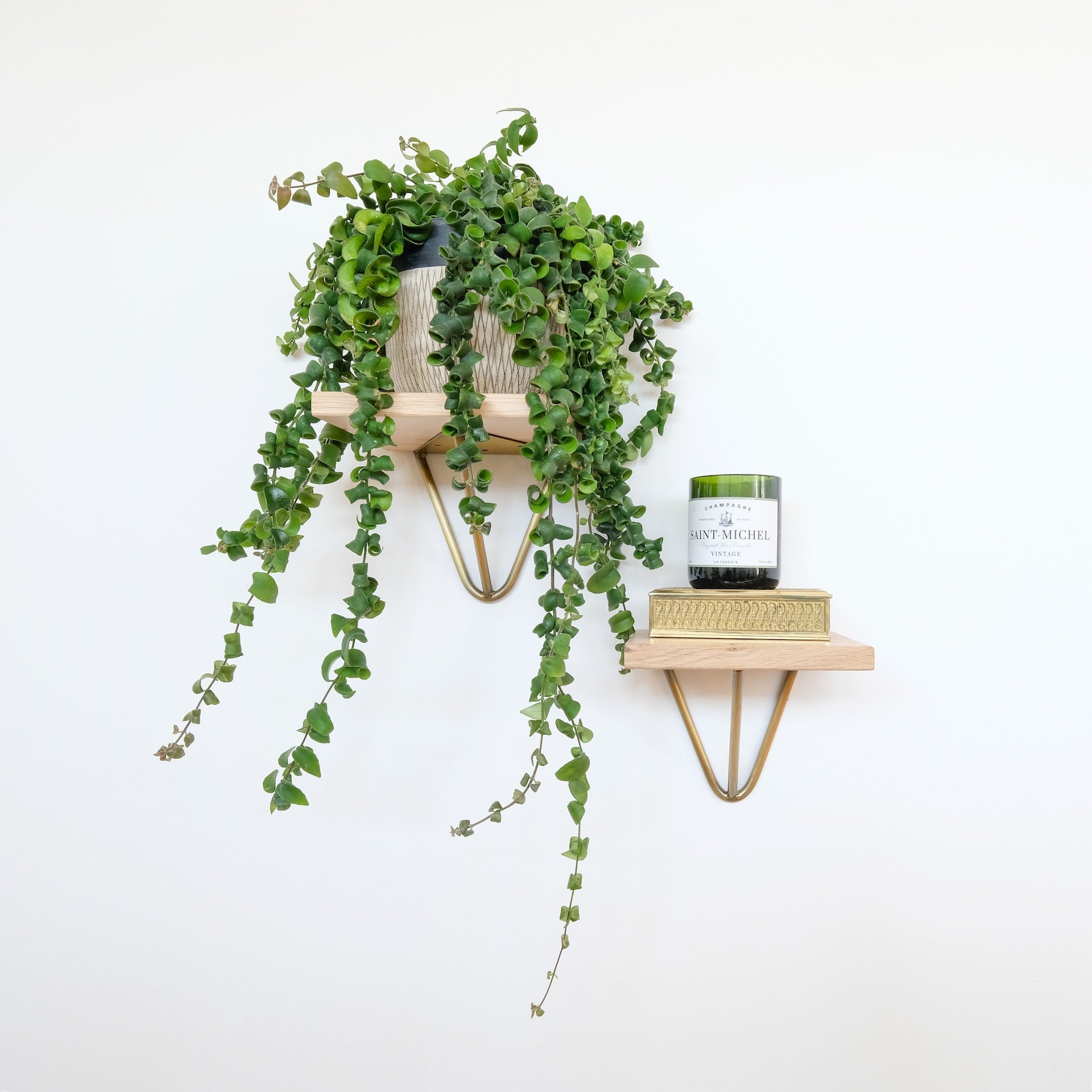 floating shelf with vining plant and candle