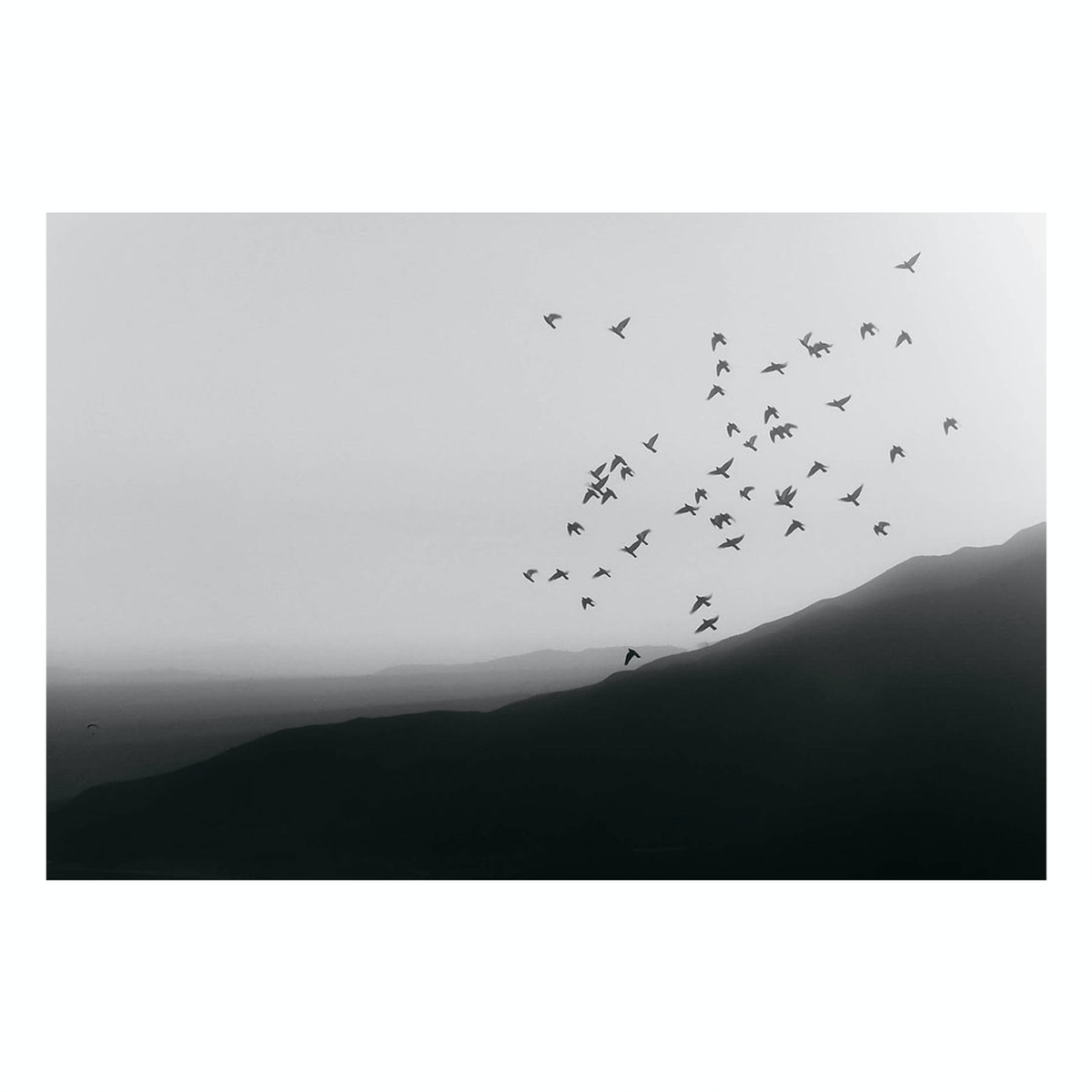 Learning to fly, Modern Photography, Black and White Print