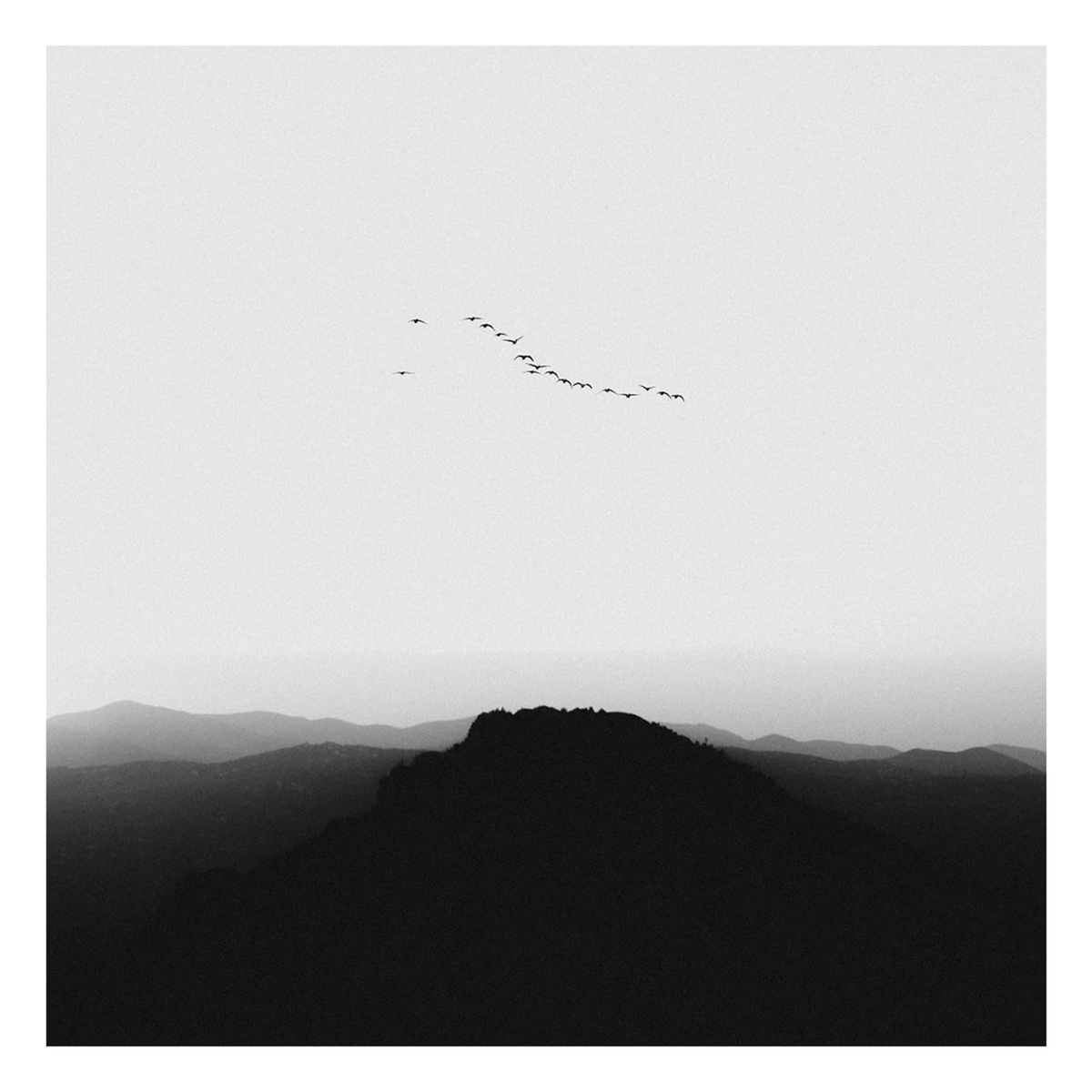 Learning to fly, Modern Photography, Black and White Print