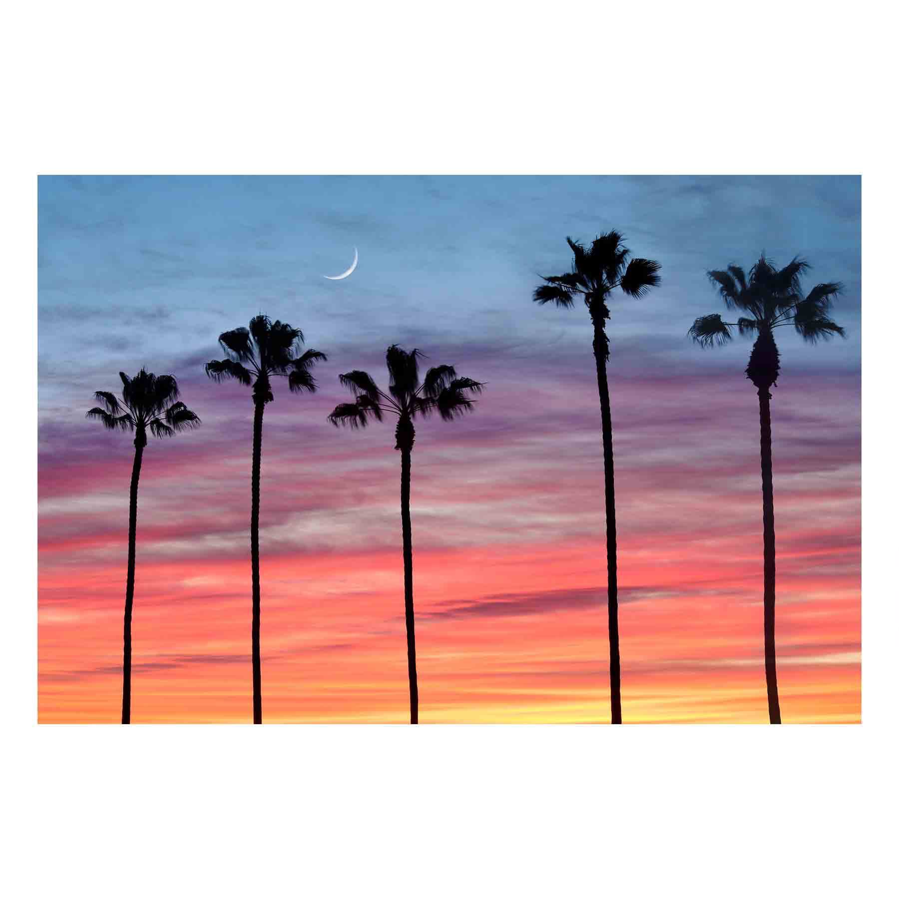 palm trees painting sunset