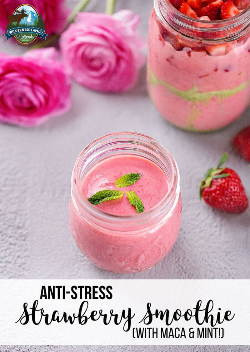 Wildly Anti-Stress Strawberry Smoothie