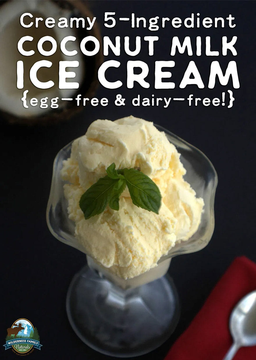 Creamy 5-Ingredient Coconut Milk Ice Cream {egg-free & dairy-free!}