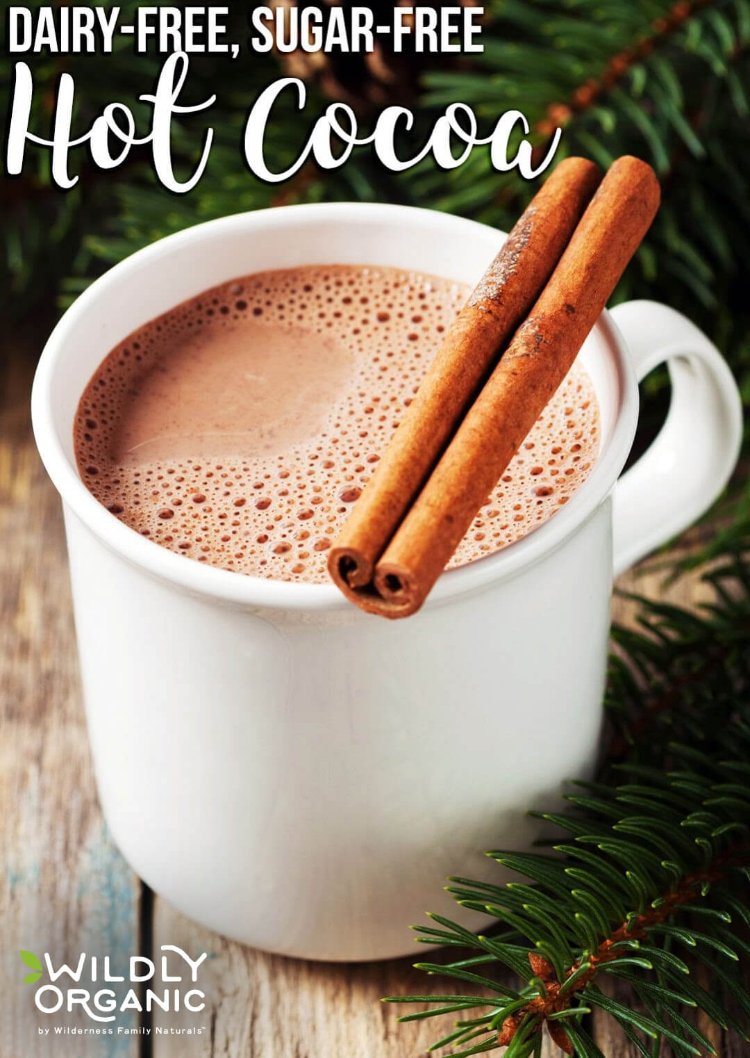 Dairy-Free, Sugar-Free Hot Cocoa