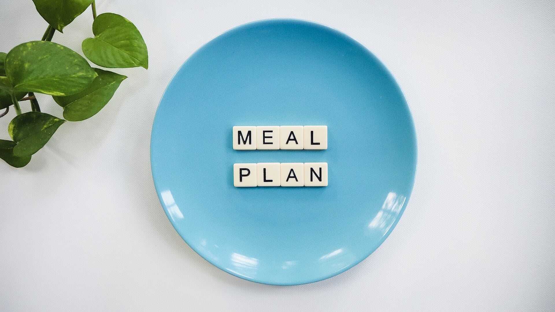 A blue plate with white text blocks on top reading “Meal Plan”