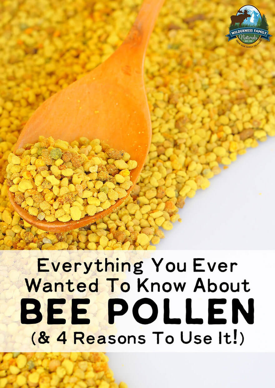 Everything You Ever Wanted To Know About Bee Pollen (& 4 Reasons To Use It) | Honey isn't the only miracle food bees produce. Here's everything you ever wanted to know about bee pollen, it's benefits, plus 4 reasons to use it! | WildernessFamilyNaturals.com