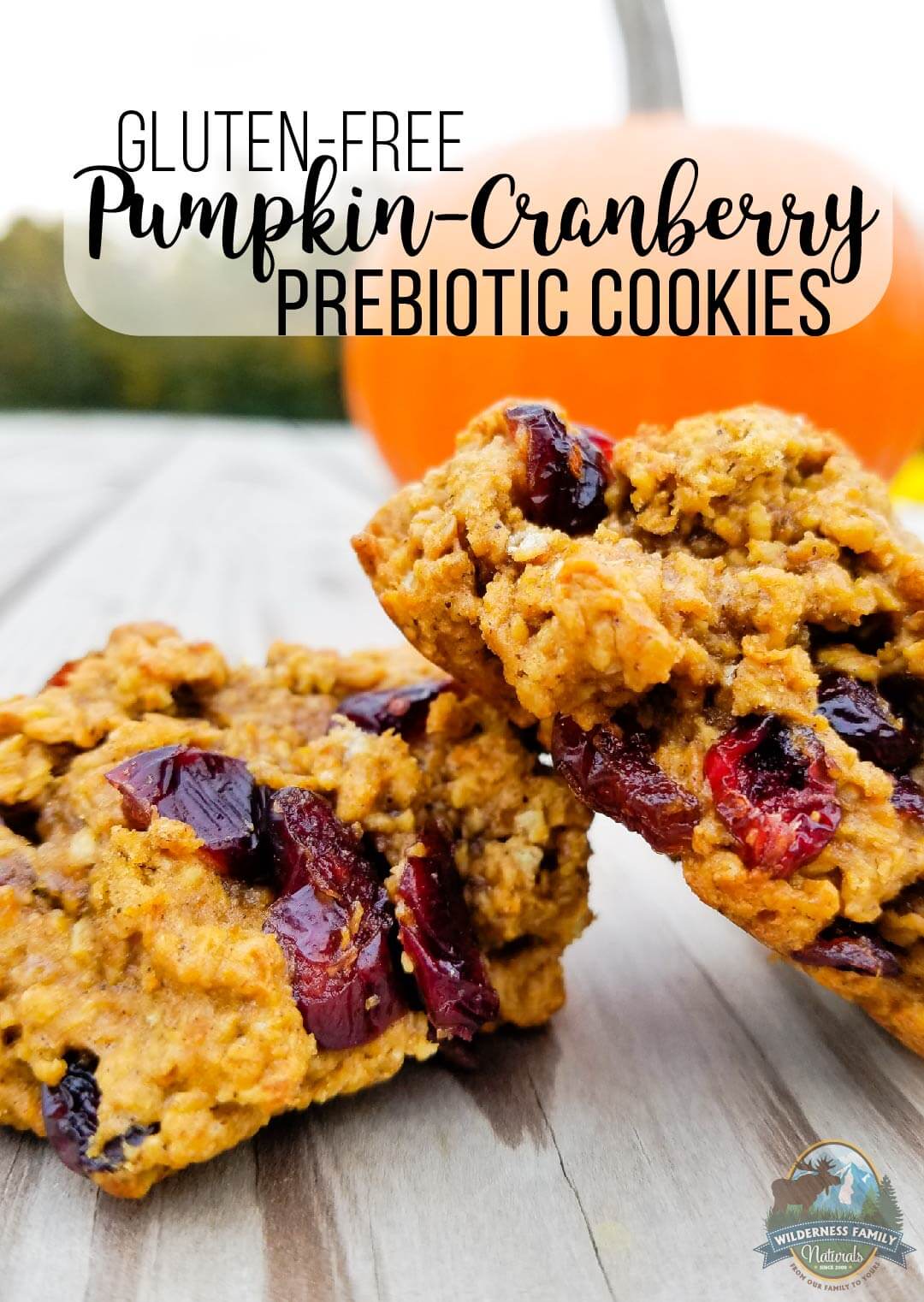 Gluten-Free Pumpkin-Cranberry Prebiotic Cookies