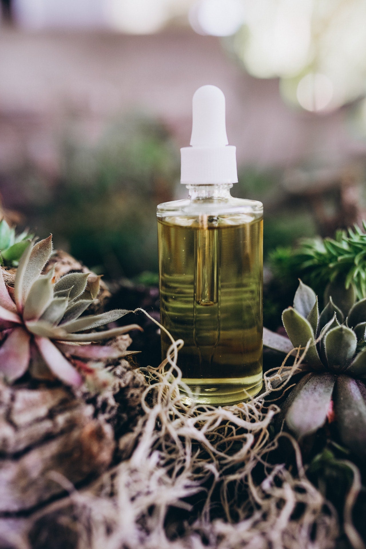Herb-infused oil in a bottle