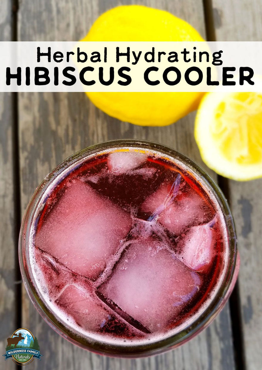 Herbal Hydrating Hibiscus Cooler Cold Drinks