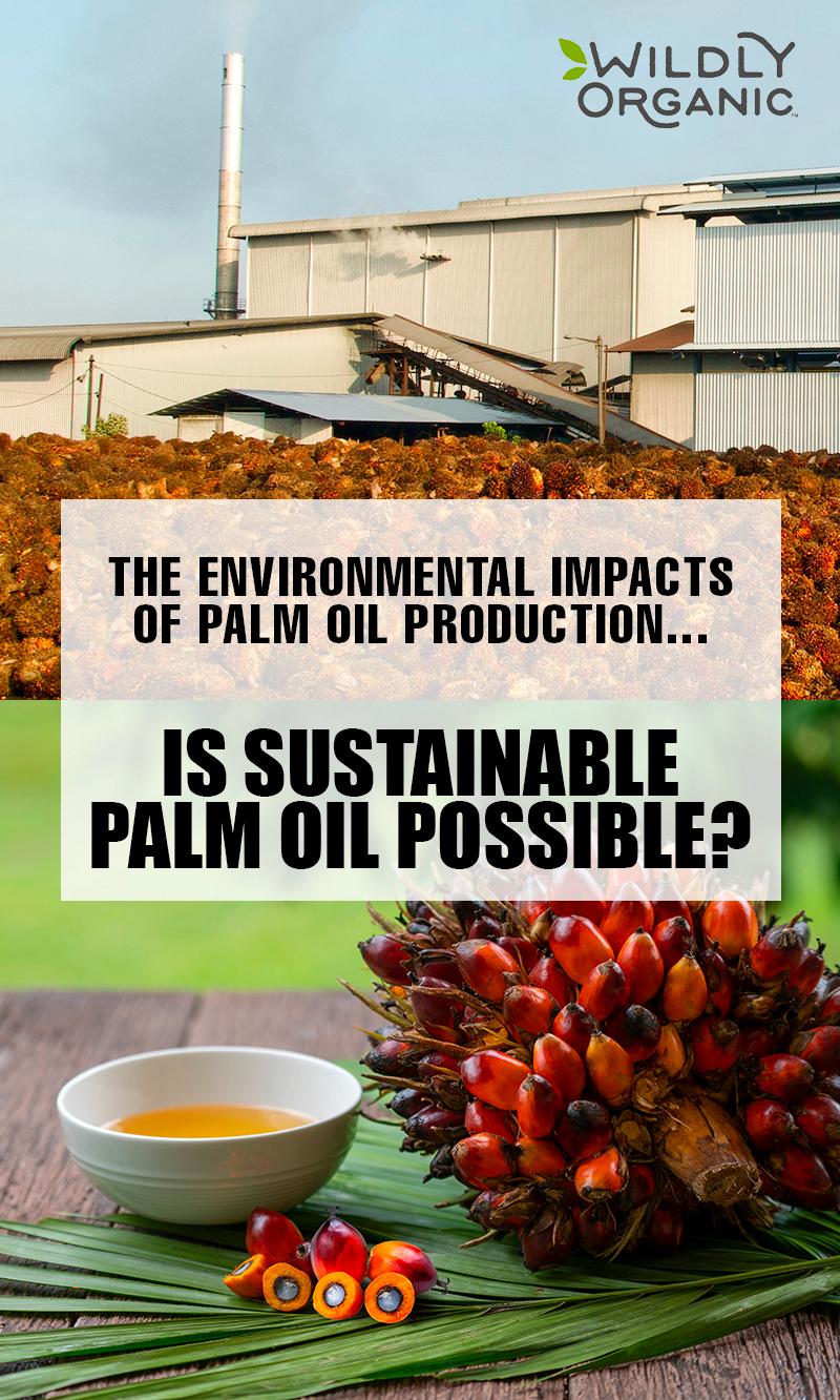 Why Palm Oil? – The Good, The Bad and the Sustainable