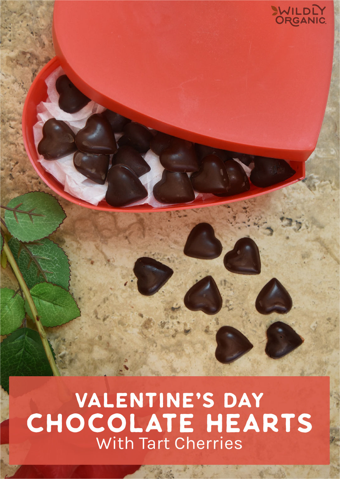 Valentine's Day Chocolate Hearts With Tart Cherries | These homemade chocolate hearts with tart cherries are a guilt-free and nutritious treat to show anyone some extra love this Valentine's Day -- no fancy chocolatier skills required! | Wildlyorganic.com