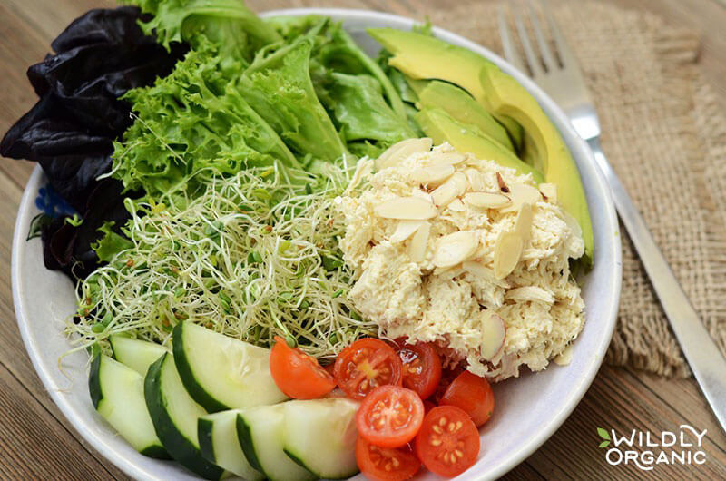 Chicken salad on lettuce leaves with sprouts, tomatoes, cucumber, and avocado for lunch