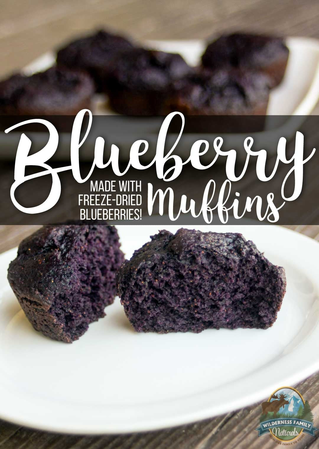 Blueberry Muffins (made with freeze-dried blueberries!)