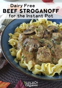 Photo of Dairy Free Beef Stroganoff | Traditionally, beef stroganoff is a creamy-sauced comfort food made with European smetana, or soured cream. Braising beef chunks low and slow in the oven results in beautifully tender beef -- IF you have the time. If you can't have dairy and don't have that kind of time, I've got good news for you! This Dairy Free Beef Stroganoff for the Instant Pot is just what you need.