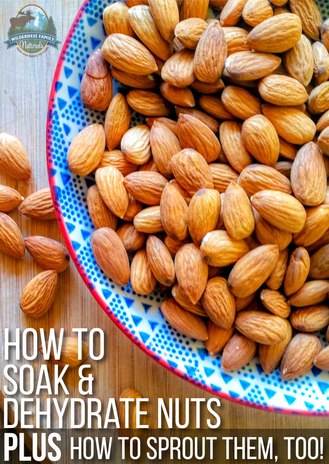 How To & Nuts how to sprout nuts, too!)