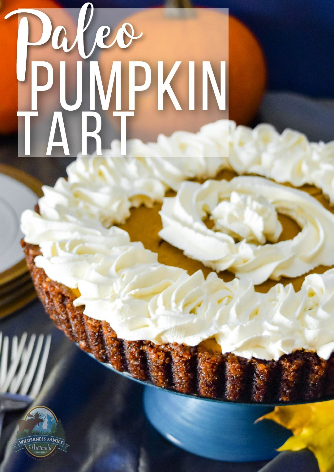 Paleo Pumpkin Tart | Full of holiday spice and cheer, this Paleo Pumpkin Tart tastes so good, no one will notice or care that it's practically health food! Grain-free, gluten-free, and dairy-free, this healthy holiday dessert doesn't lack anything but the bad stuff! | WildernessFamilyNaturals.com