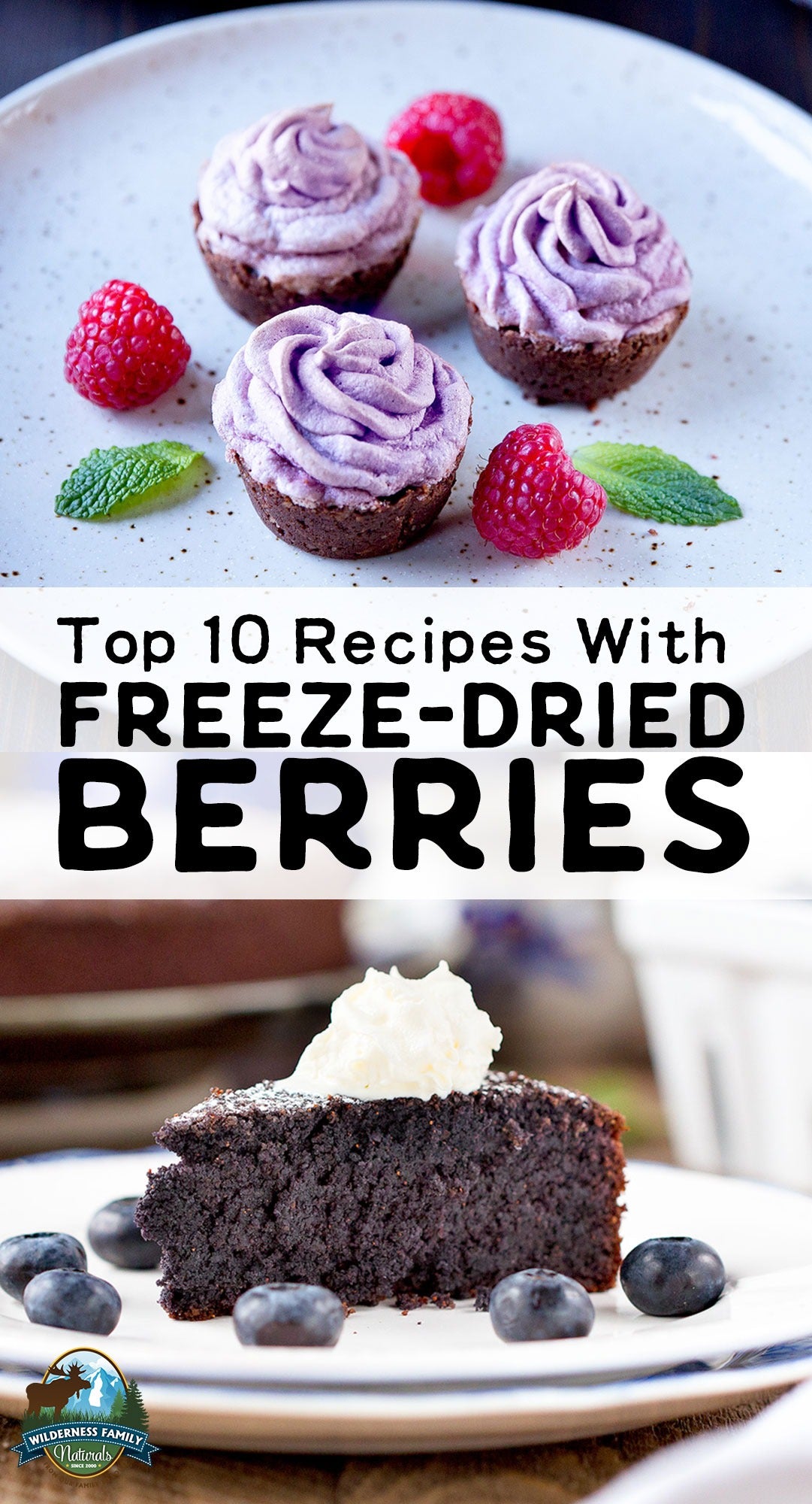 Top 10 Recipes With Freeze-Dried Berries | Very often, organic berries can be expensive or difficult to source. That's why we love freeze-dried berries! And you can use them in baked goods, to top granola or yogurt, or even to make jello and jam! Learn how here! | WildernessFamilyNaturals.com